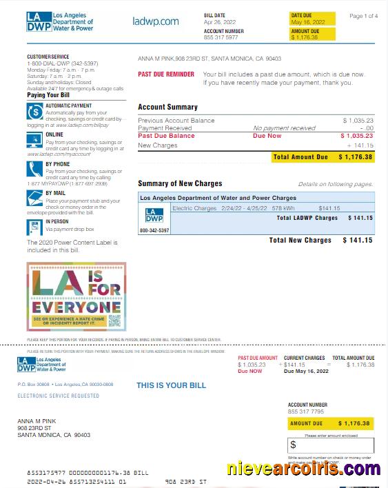 USA LA DWP utility bill